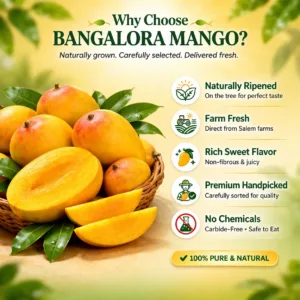 Bangalora Mango