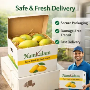 Mango Delivery Online