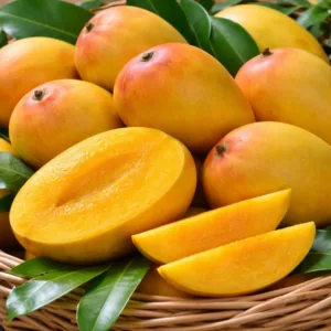 Salem Bangalora Mango