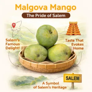 Salem mango
