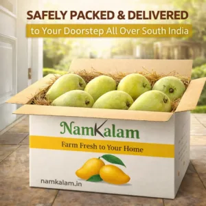 Mangoes Delivery From Salem