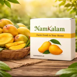 Mangoes Delivery in Chennai