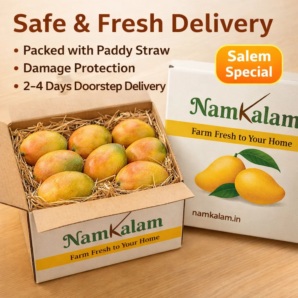 Mango delivery online mango Delivery online