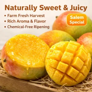 Salem Speical Mango