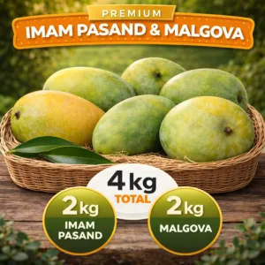 best mango Salem