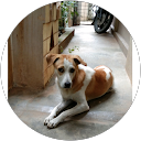 vijay Gopinath vijay. Gopinath profile picture