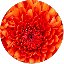 Nalini R profile picture